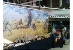 Expo Paleontología