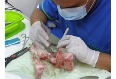 Centro en Ortopedia y Ortodoncia Dentoalveolar S.C.