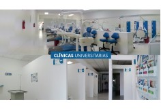 URM - Universidad Realística de México