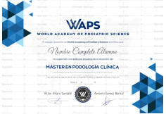 WAPS ACADEMY