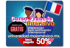 Curso Frances Universitario y Profesional