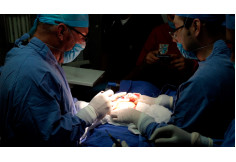 IESM Instituto de Estudios Superiores en Medicina