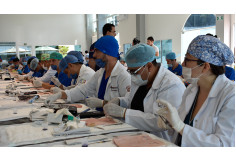 IESM Instituto de Estudios Superiores en Medicina