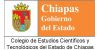 CECYTECH - Colegio de Estudios Científicos y Tecnológicos de Chiapas